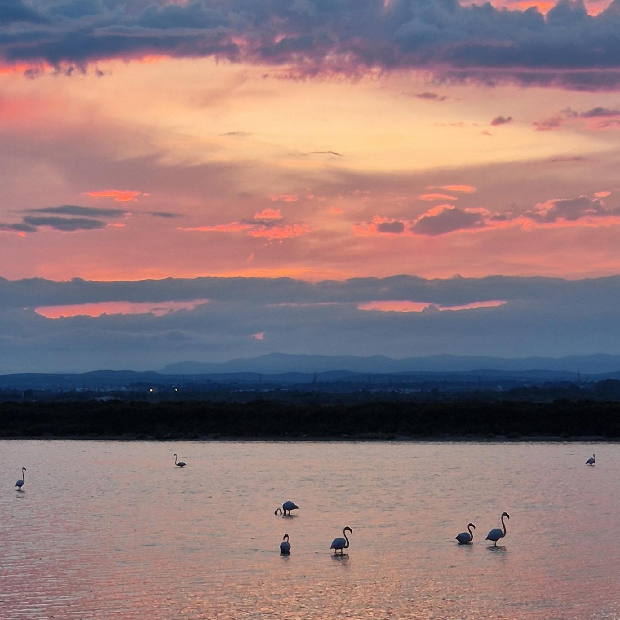 Sable & Pampas - Meuble De Tourisme 5 Etoiles * Carnon-Plage