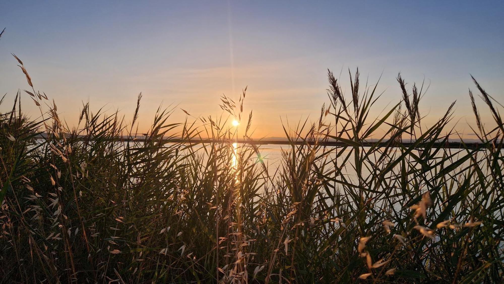 Sable & Pampas - Meuble De Tourisme 5 Etoiles Appartamento *